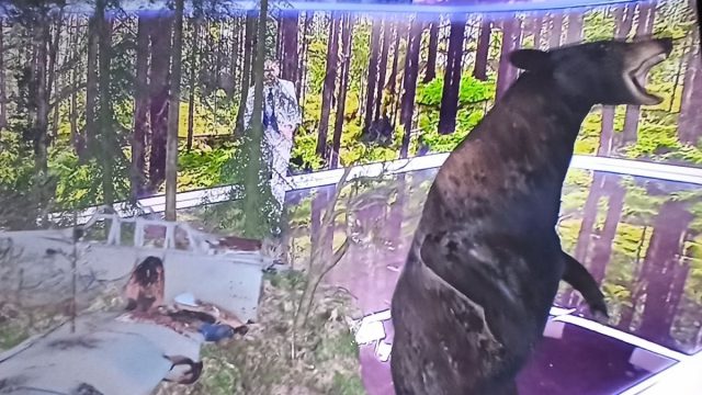 «Πώς δεν έβαλε την αρκούδα να παλεύει μαζί του;»: Το X «γονάτισε» με το γραφικό που παρουσίασε ο Ευαγγελάτος για τη Δράμα