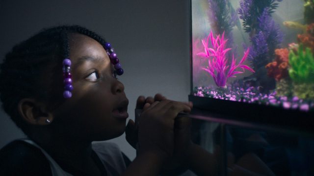 Αυτή είναι η ταινία του Netflix με βαθμολογία 100%