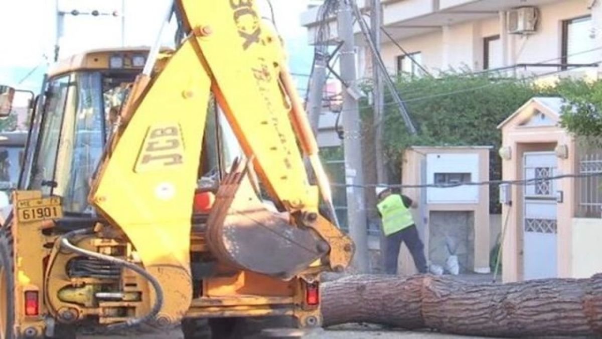 Κηφισιά: Δέντρο 15 μέτρων έπεσε σε κολώνα της ΔΕΗ – Ζημιές σε ΙΧ και μάντρα