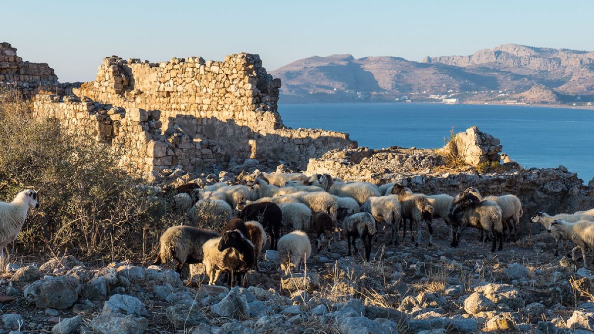 Απίθανο περιστατικό στη Ρόδο: Γερμανοί τουρίστες έριξαν με κλωτσιές τοίχο του ιστορικού κάστρου Φερακλού