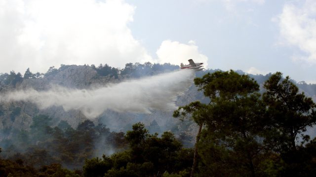 Φωτιά στη Λακωνία: Μήνυμα από το 112 – Επιχειρούν 5 εναέρια μέσα