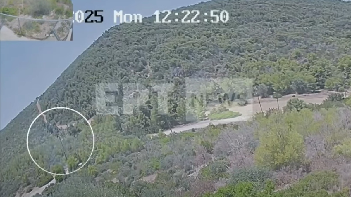 Η στιγμή που καρακάξα προκαλεί την φωτιά στο Άνω Σούλι Μαραθώνα – Δείτε βίντεο