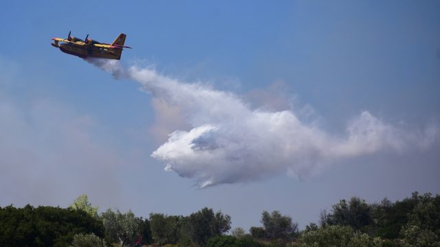 Φωτιά σε αγροτοδασική περιοχή στη Χαλκιδική – «Σηκώθηκαν» και εναέρια μέσα