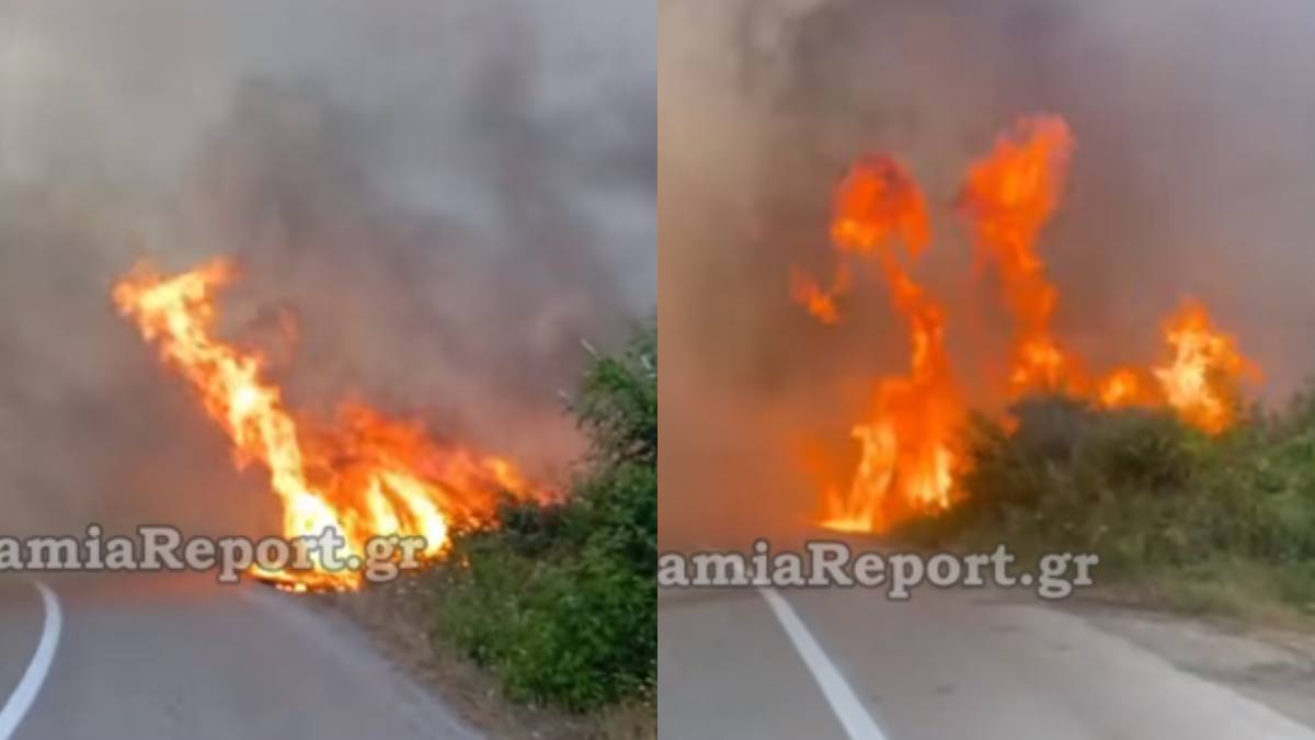 Μεγάλη πυρκαγιά στην Φθιώτιδα: Ήχησε το 112 στη Στυλίδα – Επιχειρούν εναέρια μέσα