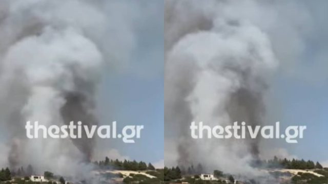 Θεσσαλονίκη: Φωτιά πίσω από το Παπαγεωργίου – Καίει κοντά σε σπίτια, στάλθηκε 112