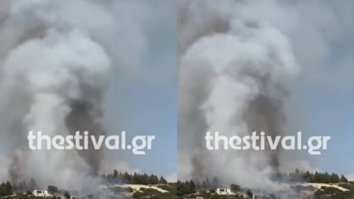 Θεσσαλονίκη: Φωτιά πίσω από το Παπαγεωργίου – Καίει κοντά σε σπίτια, στάλθηκε 112