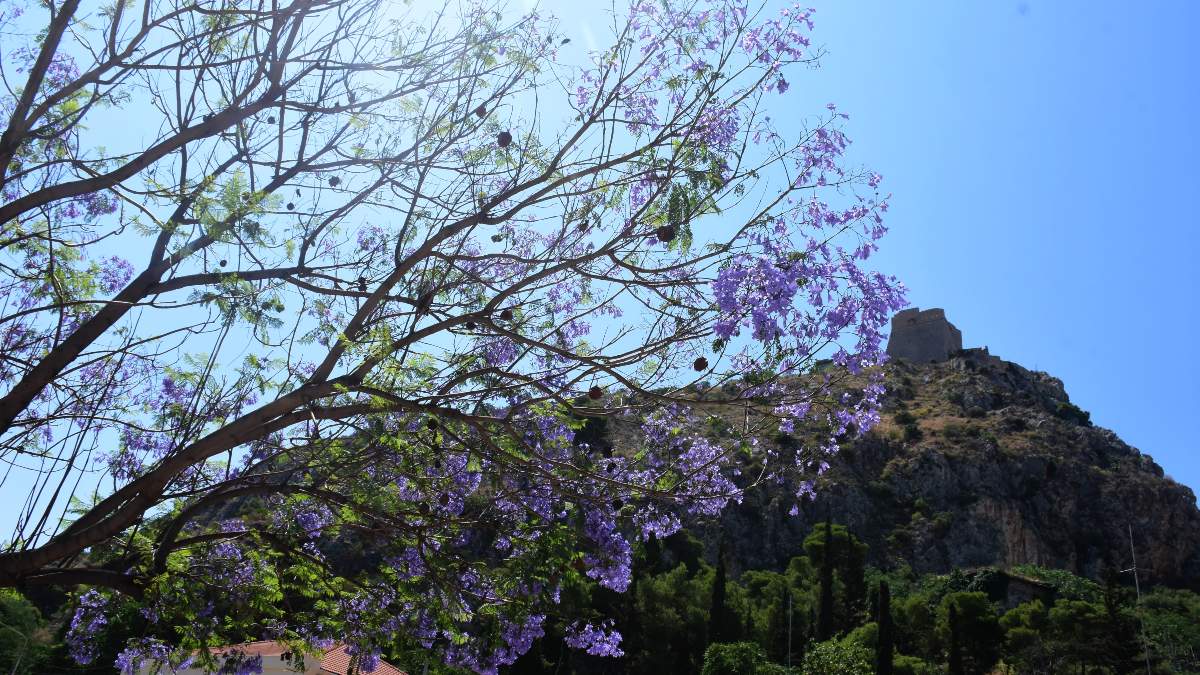 Καιρός σήμερα 16/6: Καθαρός ουρανός, ισχυροί άνεμοι και τοπικές μπόρες – Τι λένε Αρνιακός και Ρήγου