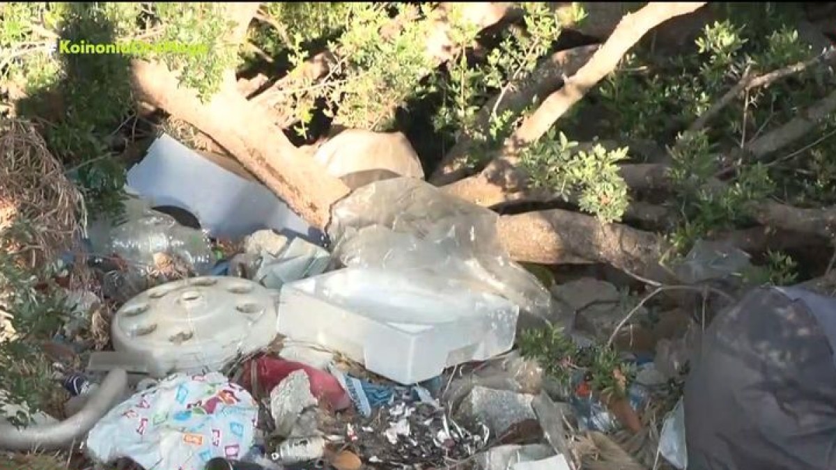 Παλαιά Φώκαια: Αποκαρδιωτικές οι εικόνες μετά τη φωτιά – Βίντεο ντοκουμέντο από τα ακαθάριστα οικόπεδα και τα σκουπίδια στην περιοχή