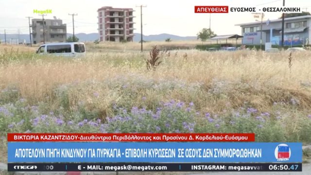Ακαθάριστα οικόπεδα: Μεγάλος ο κίνδυνος πυρκαγιάς – «Αρκεί μόνο να πετάξεις ένα τσιγάρο»