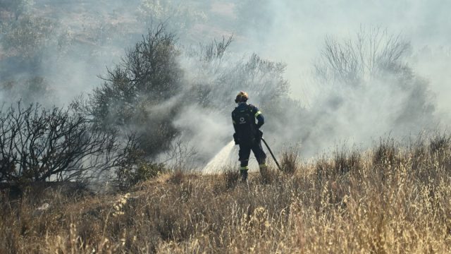 Ανεξέλεγκτη η φωτιά στην Παλαιά Φώκαια: Μάχη για να μην φτάσει στο Πευκοδάσος – Τιτάνιο το έργο της Πυροσβεστικής