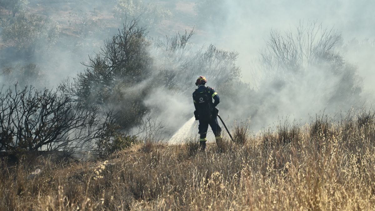 Ανεξέλεγκτη η φωτιά στην Παλαιά Φώκαια: Μάχη για να μην φτάσει στο Πευκοδάσος – Τιτάνιο το έργο της Πυροσβεστικής