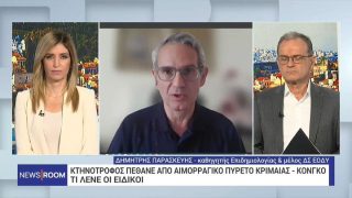Αιμορραγικός πυρετός: «Δεν μεταδίδεται εύκολα, έχουν ληφθεί όλα τα απαραίτητα μέτρα» λέει επιδημιολόγος