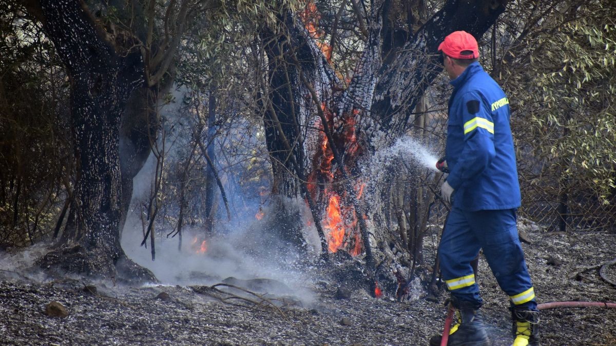 Ανεξέλεγκτη η φωτιά που ξέσπασε σε δασική περιοχή στις Σέρρες