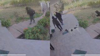 Απόπειρα διάρρηξης με… ατάραχο σκύλο-φύλακα: Το viral βίντεο που «σάρωσε» στο TikTok