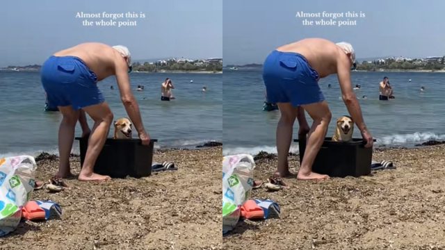 Ένα TikTok βίντεο γεμάτο αγάπη: Συγκινεί ο ηλικιωμένος που κολυμπά με τον σκύλο του