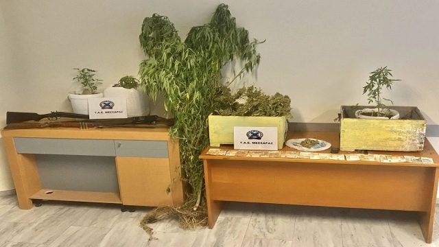 Κρητική… πατέντα: Πατέρας και γιος έκρυβαν κάνναβη μέσα σε κυψέλες με μελίσσια στο Ηράκλειο