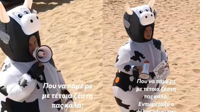 Οργή στα social media: Εργαζόμενος ντυμένος αγελάδα μέσα στον καύσωνα και θερμοκρασίες άνω των 43 βαθμών (video)