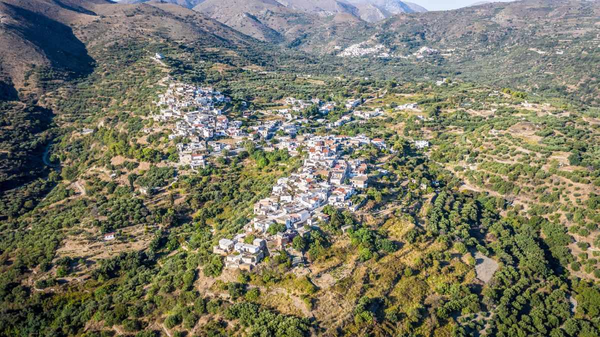 Έξω μουλιανά σητείας