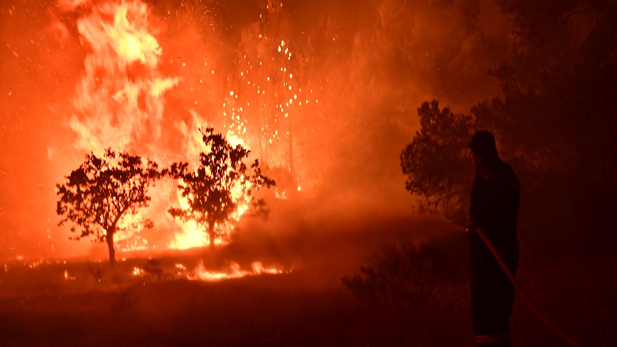 Συνεχίζεται η μάχη τις φλόγες στο Ασπροχώρι Ωρωπού