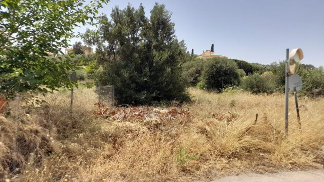 Έλεγχοι σε ακαθάριστα οικόπεδα: Σε 18 μέρες έγιναν 3.748 καταγγελίες – 13 πρόστιμα σε 72 περιπτώσεις