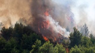 Πυρκαγιά στην Ηλεία: Συνεχίζεται η μάχη με τις φλόγες – Οριοθετήθηκε το πιο επικίνδυνο μέτωπο
