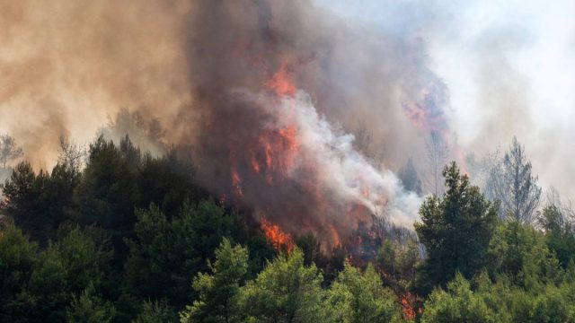 Πυρκαγιά στην Ηλεία: Συνεχίζεται η μάχη με τις φλόγες – Οριοθετήθηκε το πιο επικίνδυνο μέτωπο