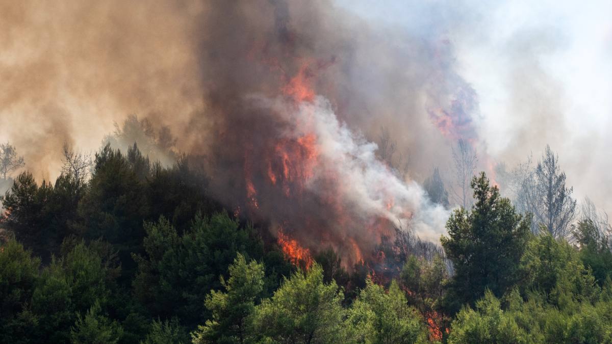 Πυρκαγιά στην Ηλεία: Συνεχίζεται η μάχη με τις φλόγες – Οριοθετήθηκε το πιο επικίνδυνο μέτωπο