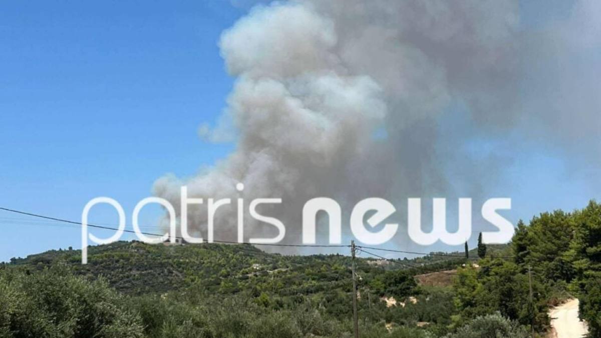 Πυρκαγιά στην Αμαλιάδα: Επιχειρούν 4 εναέρια μέσα – Ήχησε 112