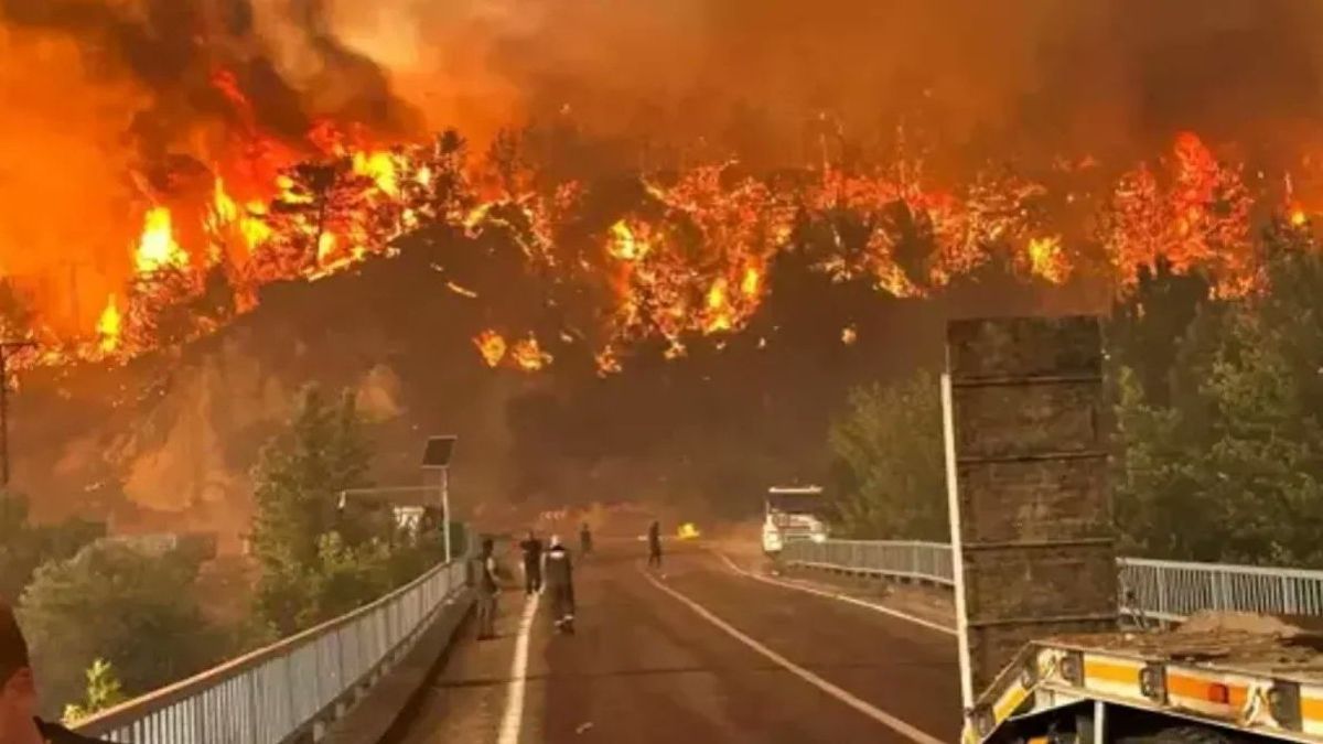 Τουρκία: 10 νεκροί δασεργάτες στην πυρκαγιά του Εσκισεχίρ – Παγιδεύτηκαν στις φλόγες