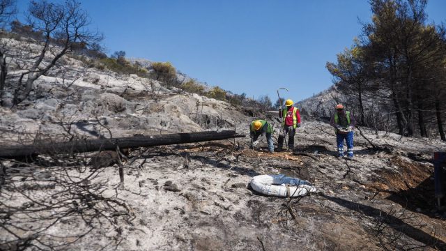 Συναγερμός στην Εύβοια: Εκκένωση της Πισσώνας λόγω αναζωπύρωσης της φωτιάς