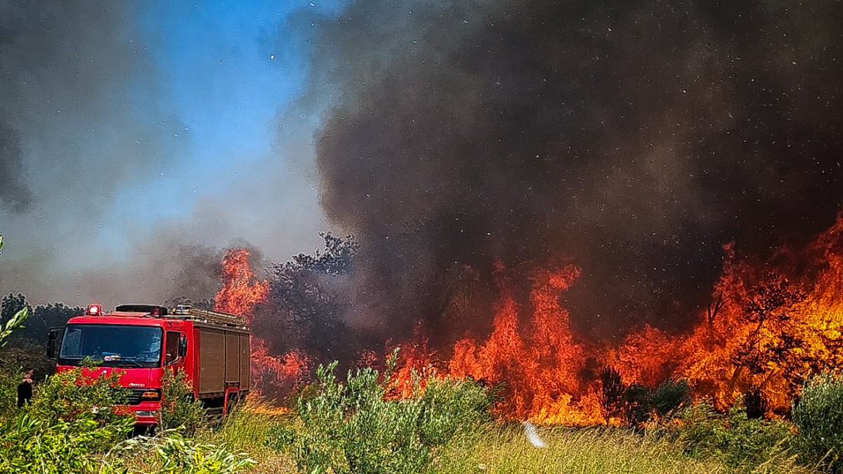 Συνελήφθη άτομο για την φωτιά στο Αλιβέρι – Κάηκε πολυχώρος διασκέδασης, απειλήθηκαν σπίτια