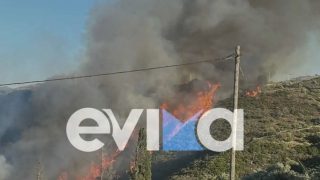 Μεγάλη πυρκαγιά στην Εύβοια κοντά στα Μεσοχώρια – Ήχησε το 112