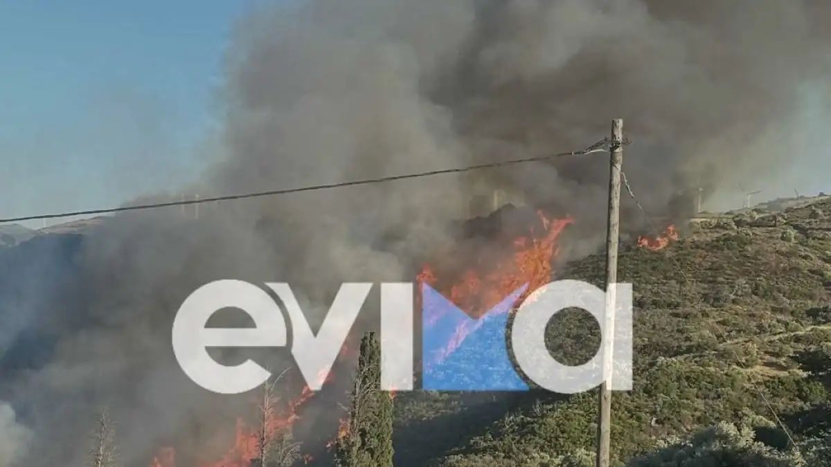 Μεγάλη πυρκαγιά στην Εύβοια κοντά στα Μεσοχώρια – Ήχησε το 112