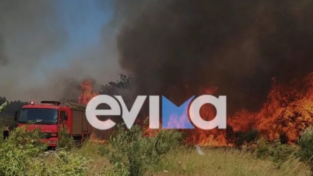 Εύβοια: Φωτιά στον κάμπο του Αλιβερίου, κοντά σε σπίτια – Ήχησε το 112