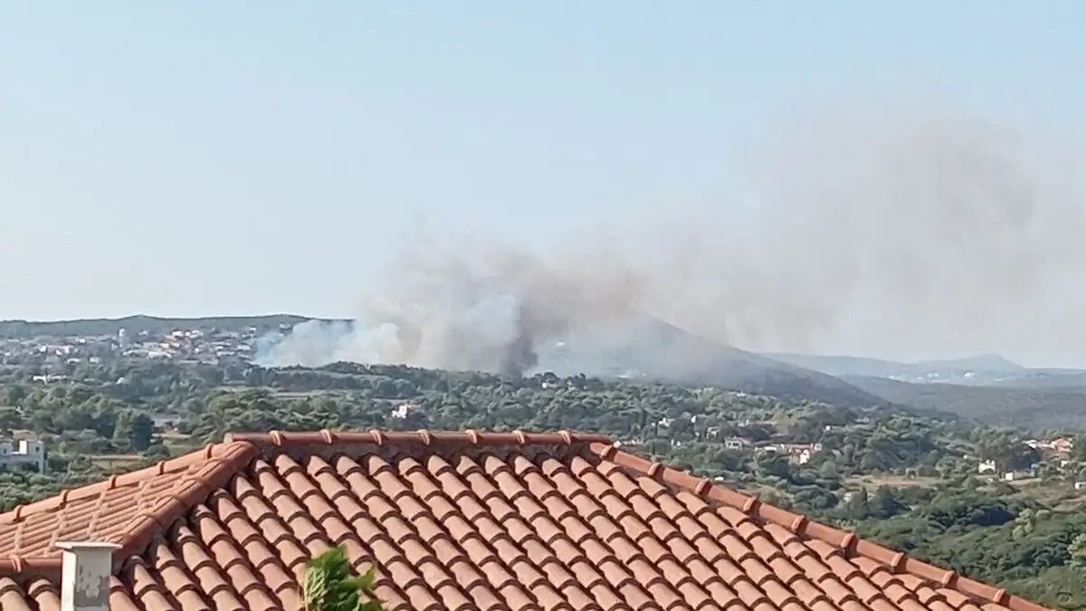 Ανεξέλεγκτη η φωτιά στα Κύθηρα: Καίγεται δάσος στις Πιτσινάδες – Μηνύματα από το 112