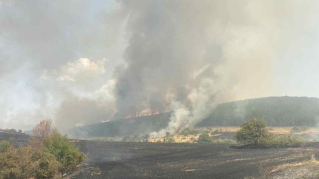 Συναγερμός στην Κοζάνη: Μαίνεται για τρίτο 24ωρο η φωτιά στην περιοχή Λιβερά