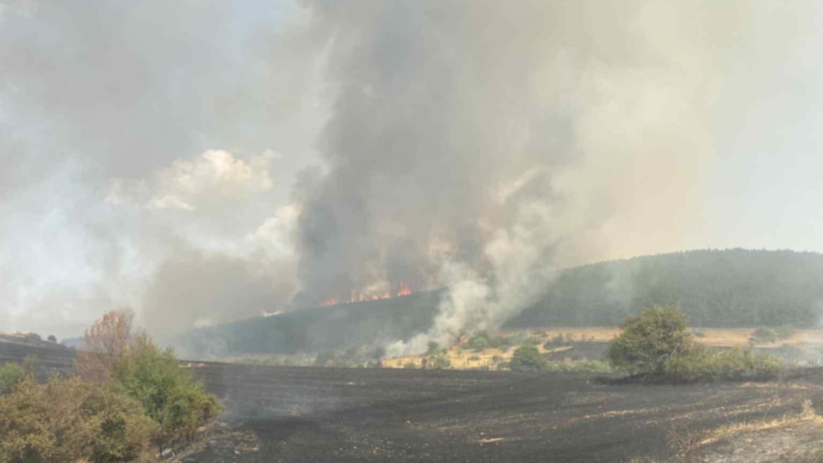 Συναγερμός στην Κοζάνη: Μαίνεται για τρίτο 24ωρο η φωτιά στην περιοχή Λιβερά