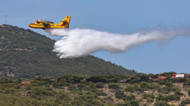 Νέα φωτιά στη Λακωνία: Άμεση επέμβαση της Πυροσβεστικής