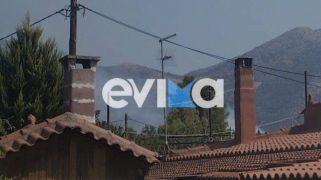 Εύβοια: Φωτιά ξέσπασε σε αυλή σπιτιού στο χωριό Αργυρό