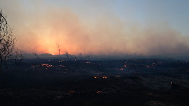 Παλεύοντας με τις φωτιές σε όλα τα μέτωπα: Η κατάσταση σε Κρυονέρι, Μεσσηνία, Εύβοια, Χανιά και Κύθηρα – Ξεκίνησαν ρίψεις τα εναέρια