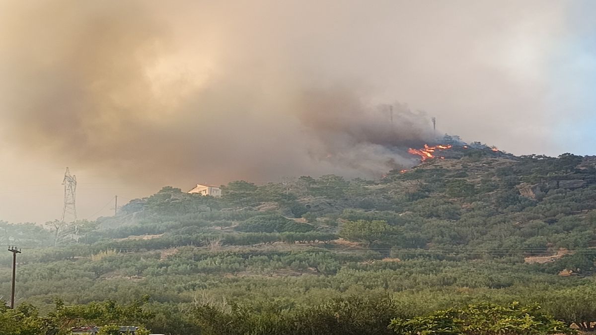 Μεγάλη φωτιά στην Ιεράπετρα: Εκκενώνονται οικισμοί, απειλούνται ξενοδοχειακές μονάδες – Μήνυμα από το 112