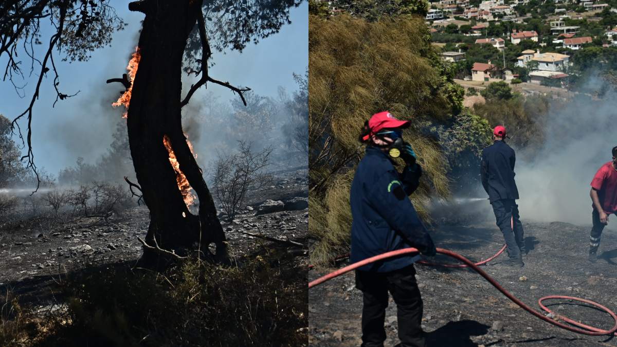 Αποκαρδιωτικές εικόνες στο Κορωπί: Καταγγελίες ότι ο δήμος δεν είχε καθαρίσει τον κεντρικό δρόμο από όπου ξεκίνησε η φωτιά