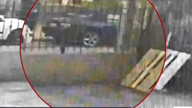 Άγριες σκηνές στο Νέο Ηράκλειο: Βίντεο ντοκουμέντο από τη συμπλοκή ανάμεσα σε ανηλίκους