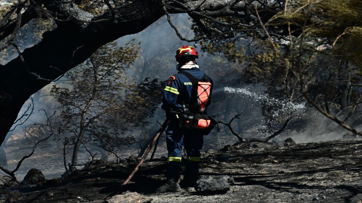 Κορωπί: Βελτιωμένη η κατάσταση στο μέτωπο της πυρκαγιάς – Ζημιές σε κατοικίες και εκκενώσεις περιοχών