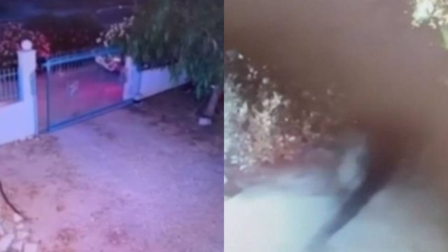 Συμμορία «ρήμαζε» σπίτια σε Μέγαρα, Κορινθία και Αττική: Βίντεο ντοκουμέντο από τη δράση της