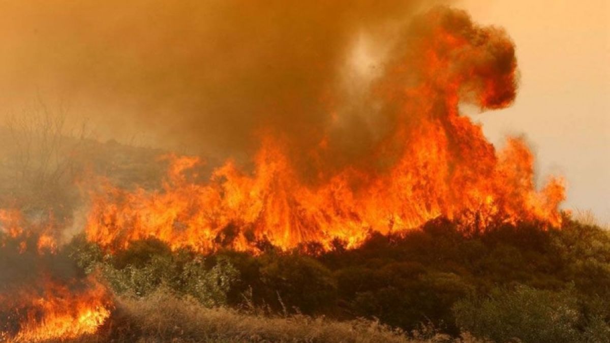 Η Κύπρος μετρά τις πληγές της μετά τη φονική πυρκαγιά – Στο «φως» ευθύνες, καθυστερήσεις και υπόνοιες εμπρησμού