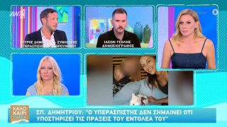 «Ο δράστης θα εκτίσει την ποινή στο ψυχιατρείο των φυλακών»: Τι είπε ο δικηγόρος υπεράσπισης του δολοφόνου της Κυριακής Γρίβα