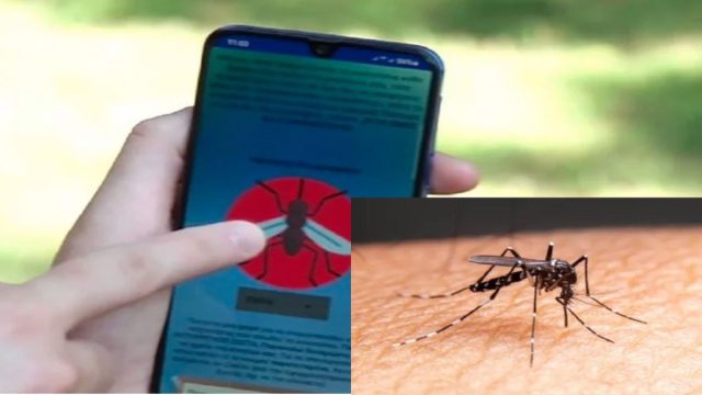 Διώξε τα κουνούπια με το κινητό – Μάθε τον τρόπο