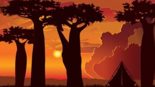 Οπτική ψευδαίσθηση: Σχεδόν αδύνατον να βρεις την καμηλοπάρδαλη σε 7 δευτερόλεπτα