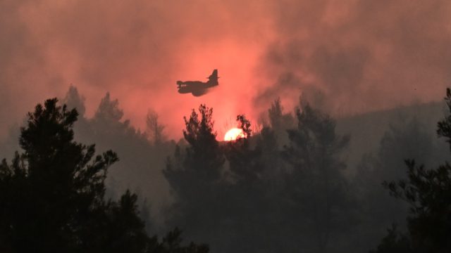 Πύρινο μέτωπο στον Ωρωπό: Εκκενώνονται περιοχές – Καίγονται τα πρώτα σπίτια